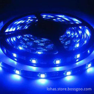 Blue LED strips with 2835 series, 120 LEDs/m, 21-23lm, CE certified
